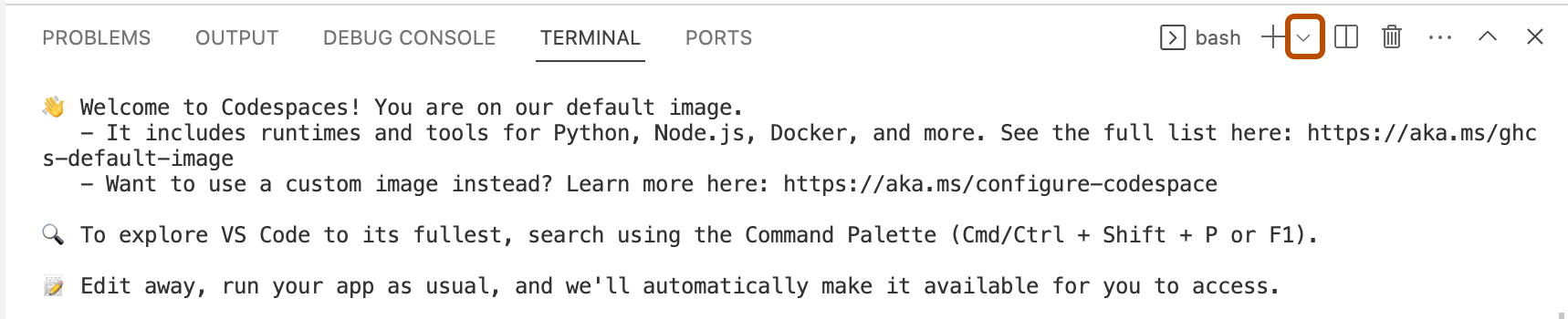 Captura de tela do terminal integrado no VS Code. Ao lado do ícone de adição, uma seta voltada para baixo tem um contorno laranja.