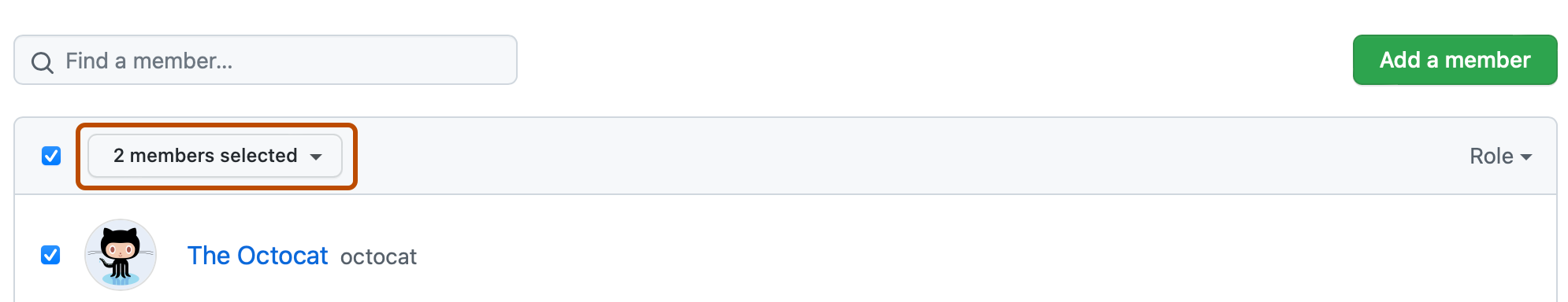 チームの [メンバー] ページのスクリーンショット。 チーム メンバーの一覧の上で "2 名のメンバーが選ばれています" というラベルの付いたドロップダウン メニューが濃いオレンジ色の枠線で強調表示されています。