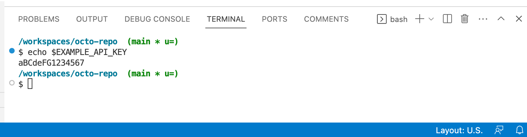 VS Code のターミナルのスクリーンショット。 コマンド "echo $EXAMPLE_API_KEY" から "aBCdeFG1234567" が返されています。