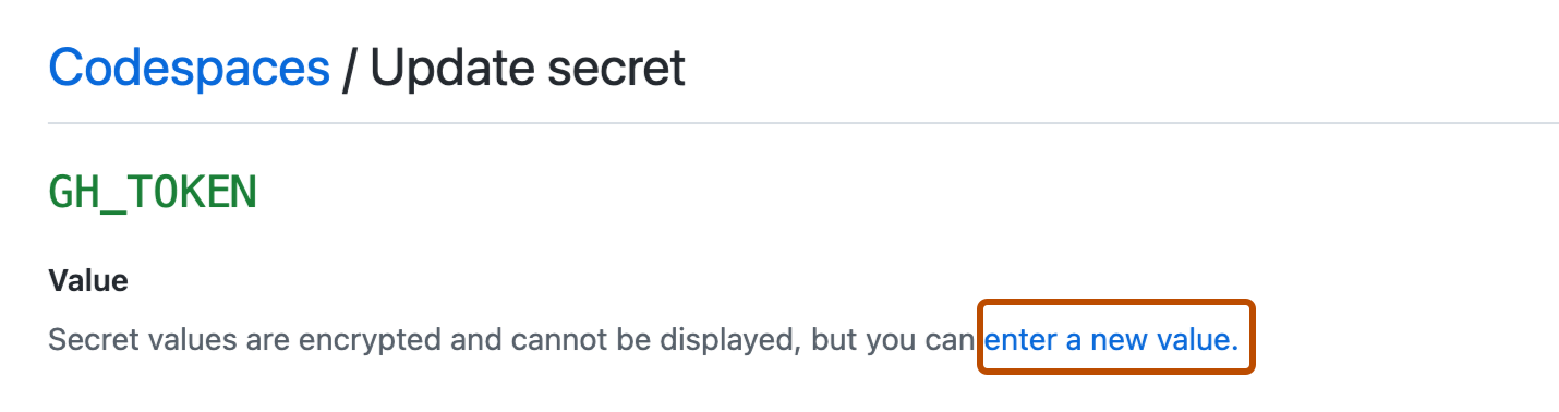 Captura de pantalla de la página "Codespaces/ Actualizar secreto". El vínculo “Introducir un nuevo valor” estará resaltado con un contorno naranja oscuro.