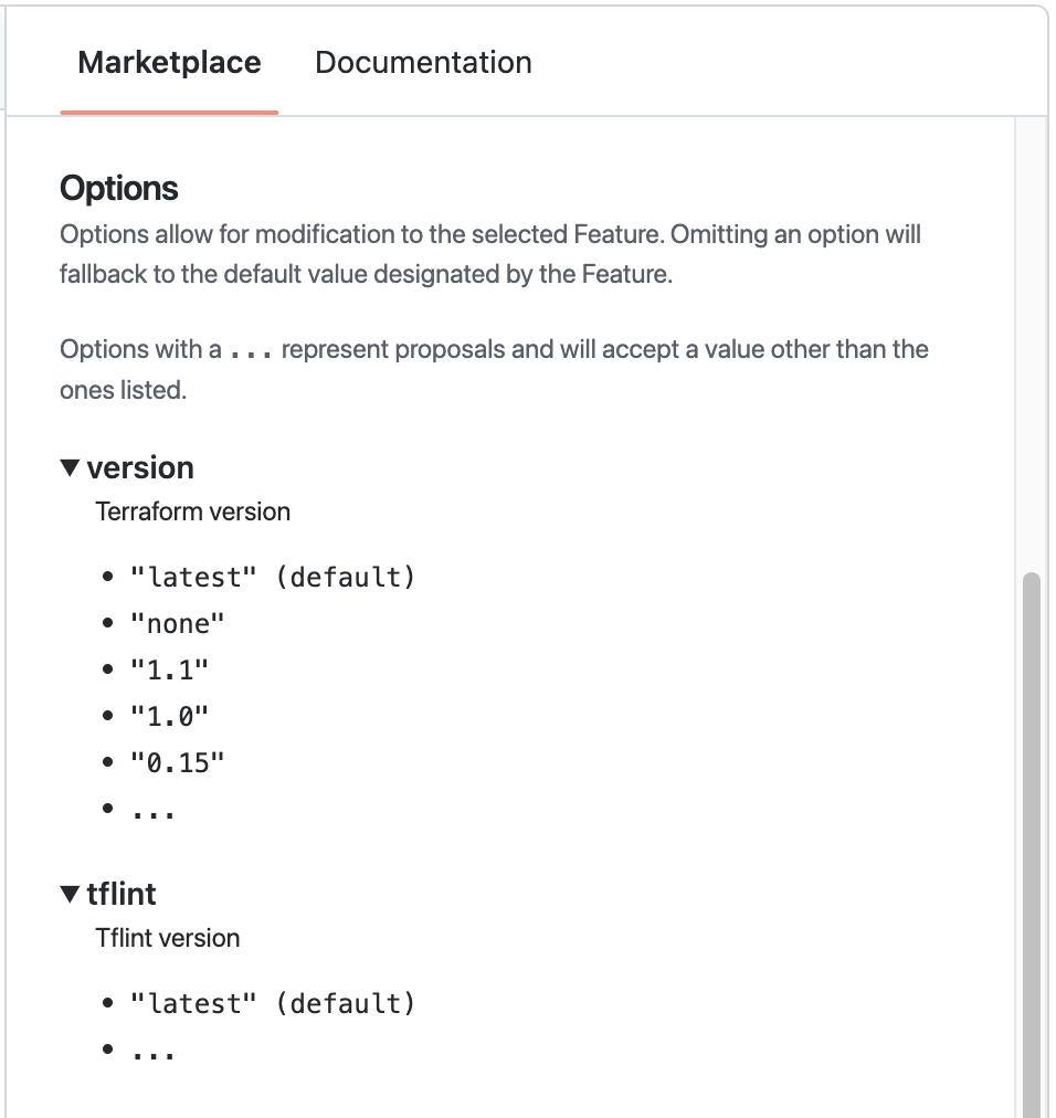 Screenshot des Abschnitts „Optionen“ der Registerkarte „Marketplace“ mit erweiterten Eigenschaften „version“ und „tflint“.